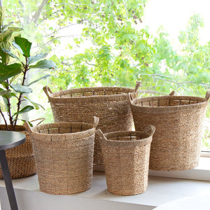 Black Sale PlantMe - Todo