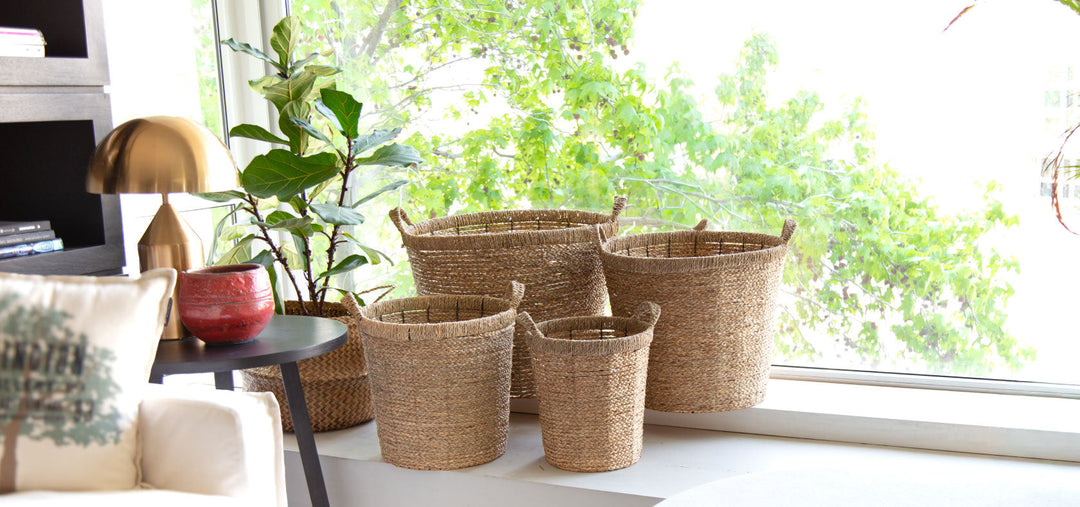 Black Sale PlantMe - Todo