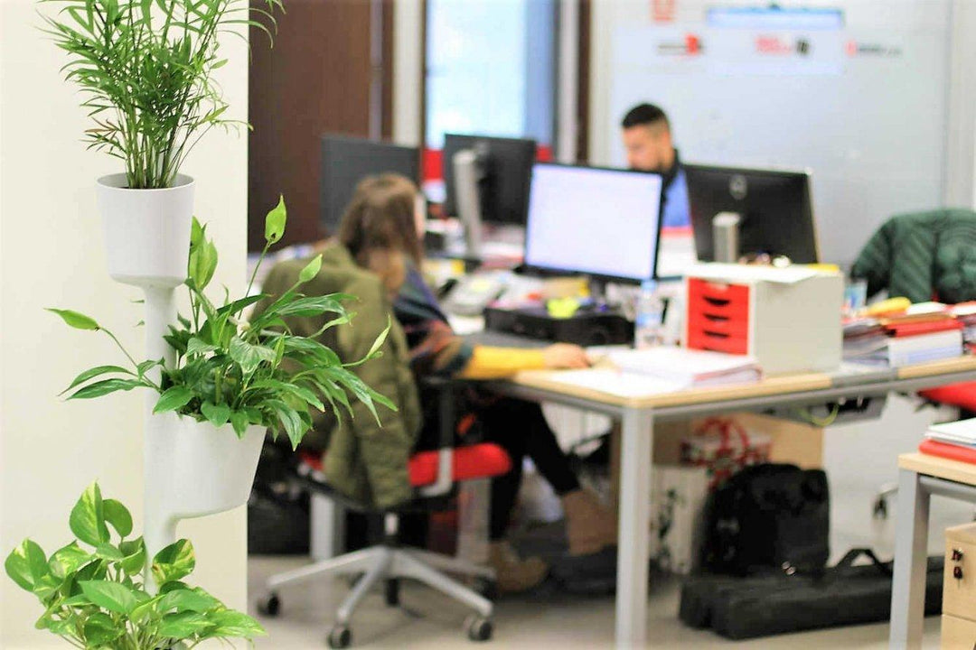 Oficinas