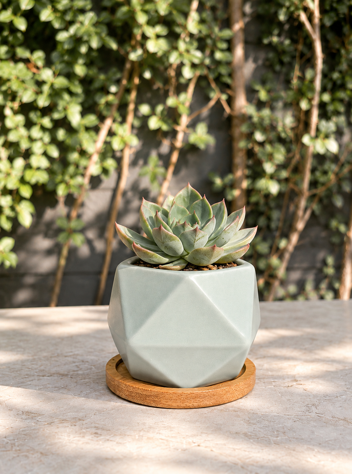 Seul Celeste XS (Macetero de Ceramica)