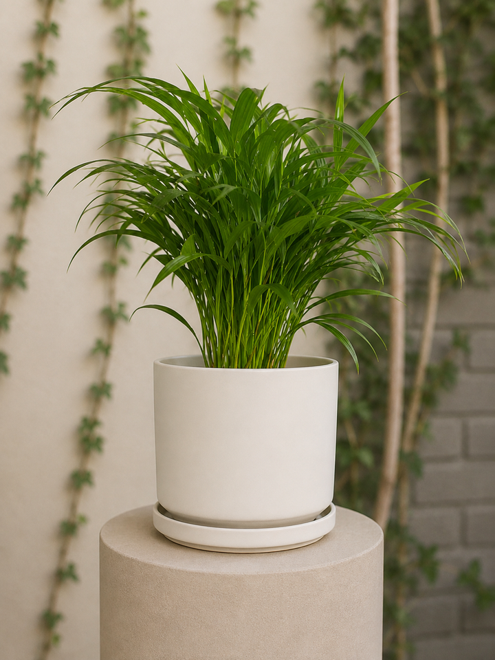 Dinamarca Gris M (Macetero Porcelana 19x18)