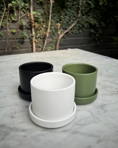 Pack de Zurich Mixtos (Macetero Ceramica)