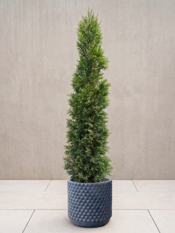 Pino Smarack
