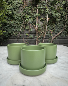 Pack de Zurich Verdes (Macetero de Ceramica)