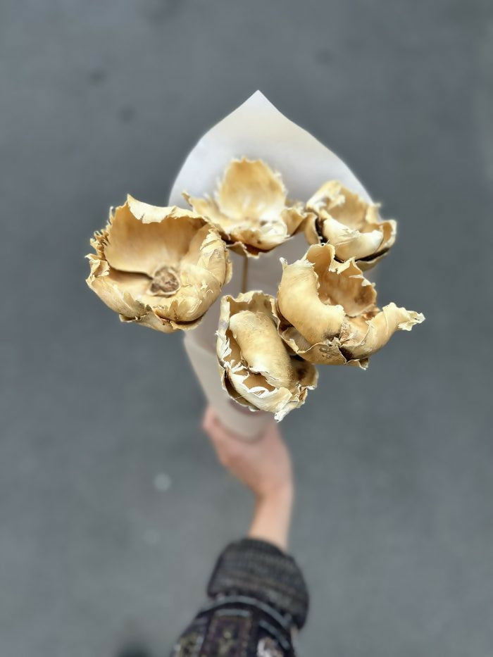 Flor de Palmera Blanca Seca