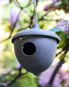 Casa de Nido para Pajaros Chaiten