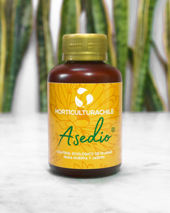 Asedio 280 ML