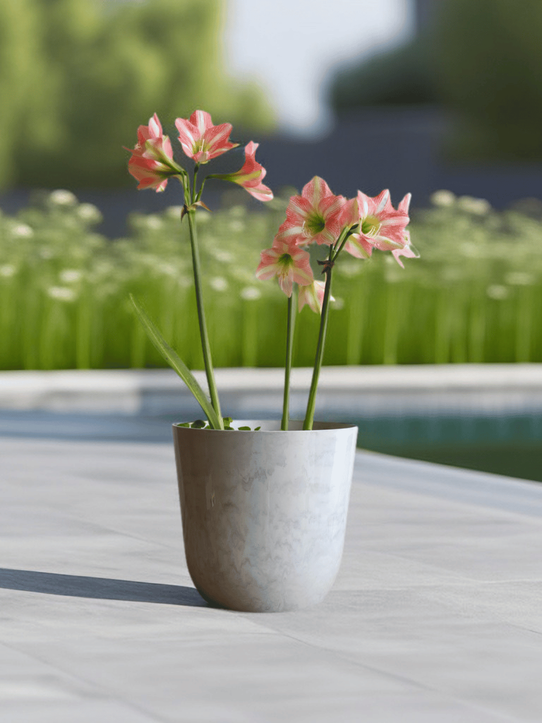 Madrid 13 Blanco (Macetero Plástico Reciclado S)