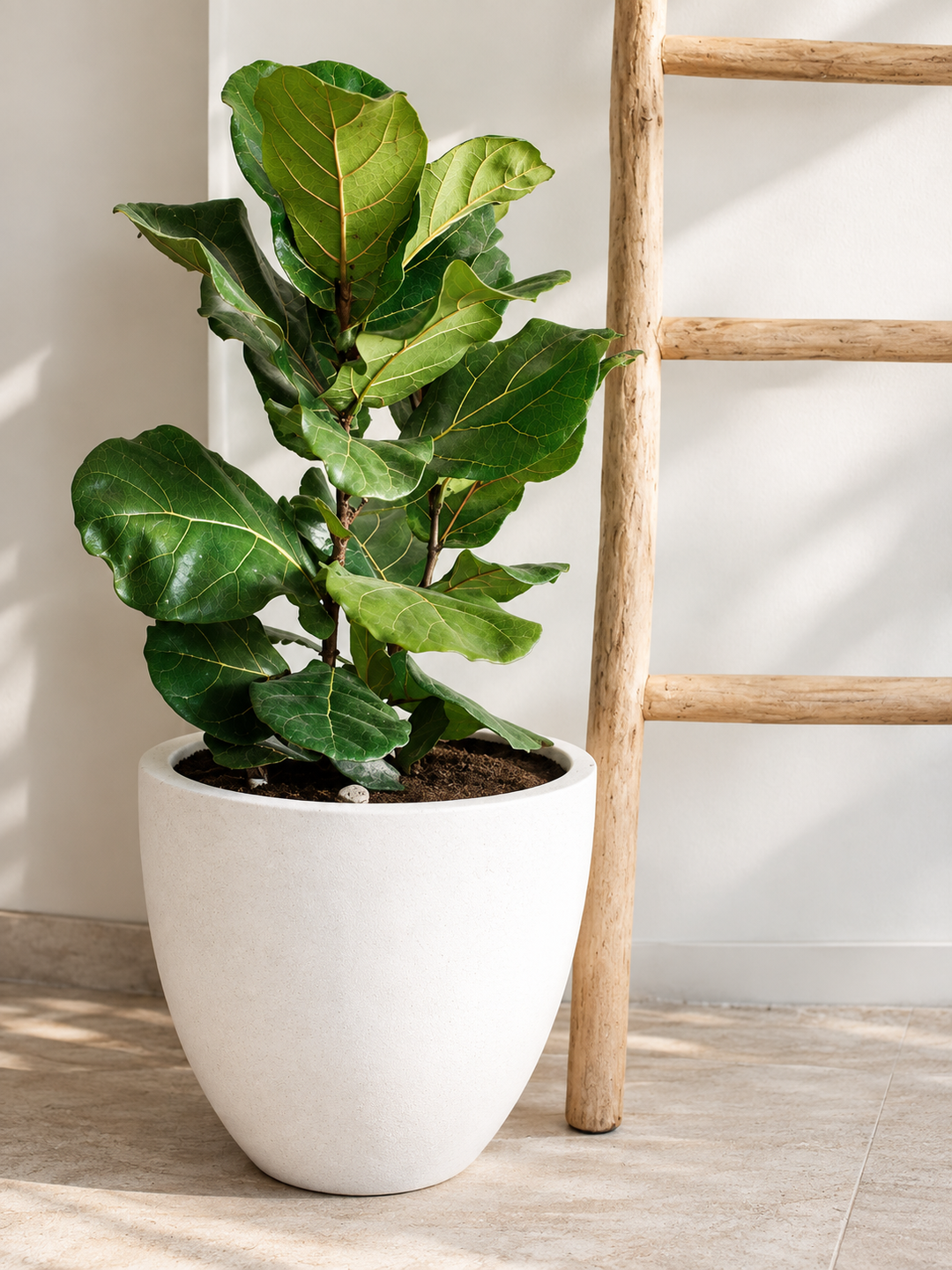 Inca Blanco XL (Macetero Autorregante 42x36)