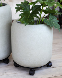 Plant Mover 30 cms