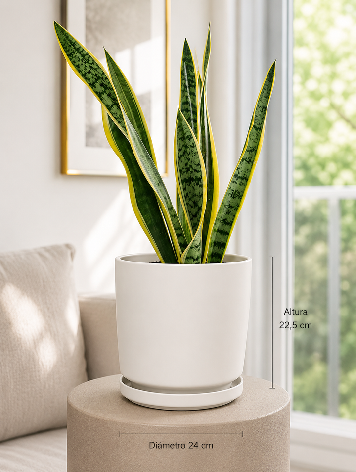 Dinamarca  Blanco L (Macetero Porcelana 24x23 )