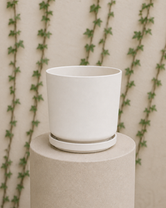 Dinamarca  Blanco M (Macetero Porcelana 19x18 )