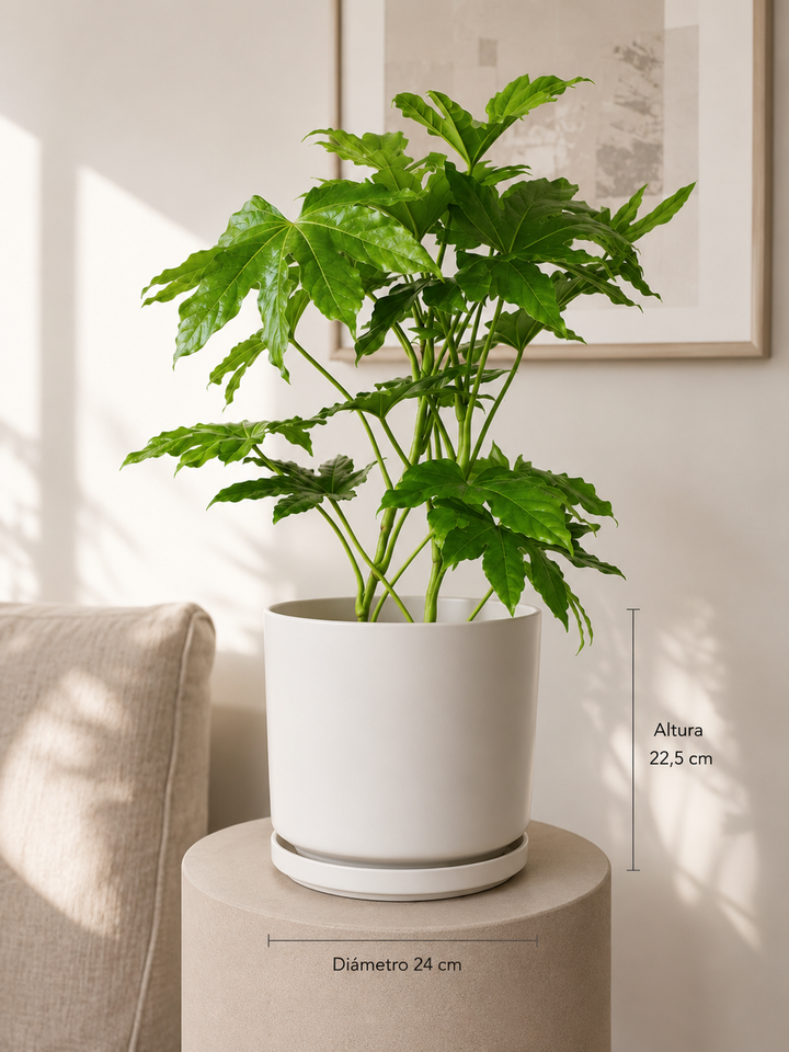 Dinamarca  Blanco L (Macetero Porcelana 24x23 )
