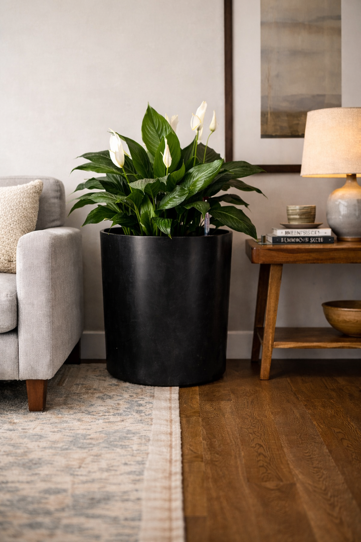 Sintra Negro 49x49 (Autorregante XXL)