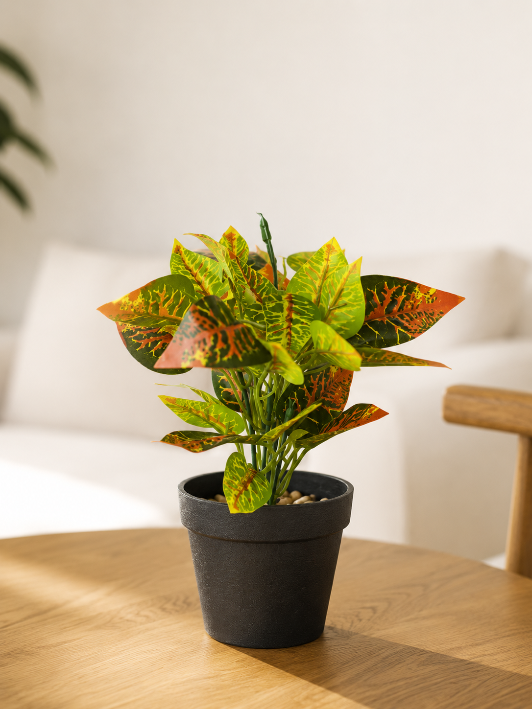 Crotons 22 cm (Eco Sintetica)