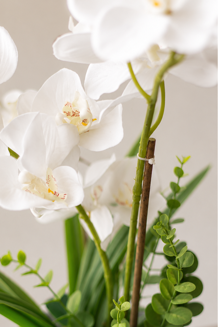 Orquidea Blanca 60 cm (Eco Sintetica)