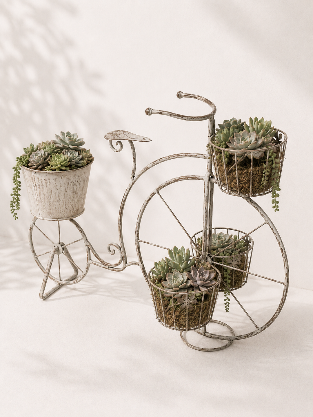 Triciclo Oxford 23x11x18 cm - Figura Decorativa Resina