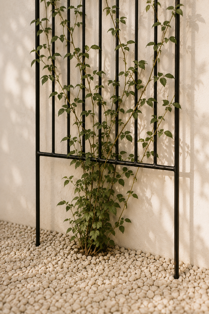Tutor Enredadera Decorativo Cambridge 146x40 cm