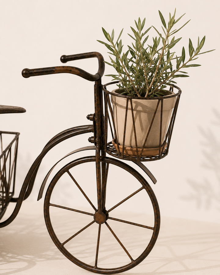 Triciclo Manchester 19x9x15 cm - Figura Decorativa Resina