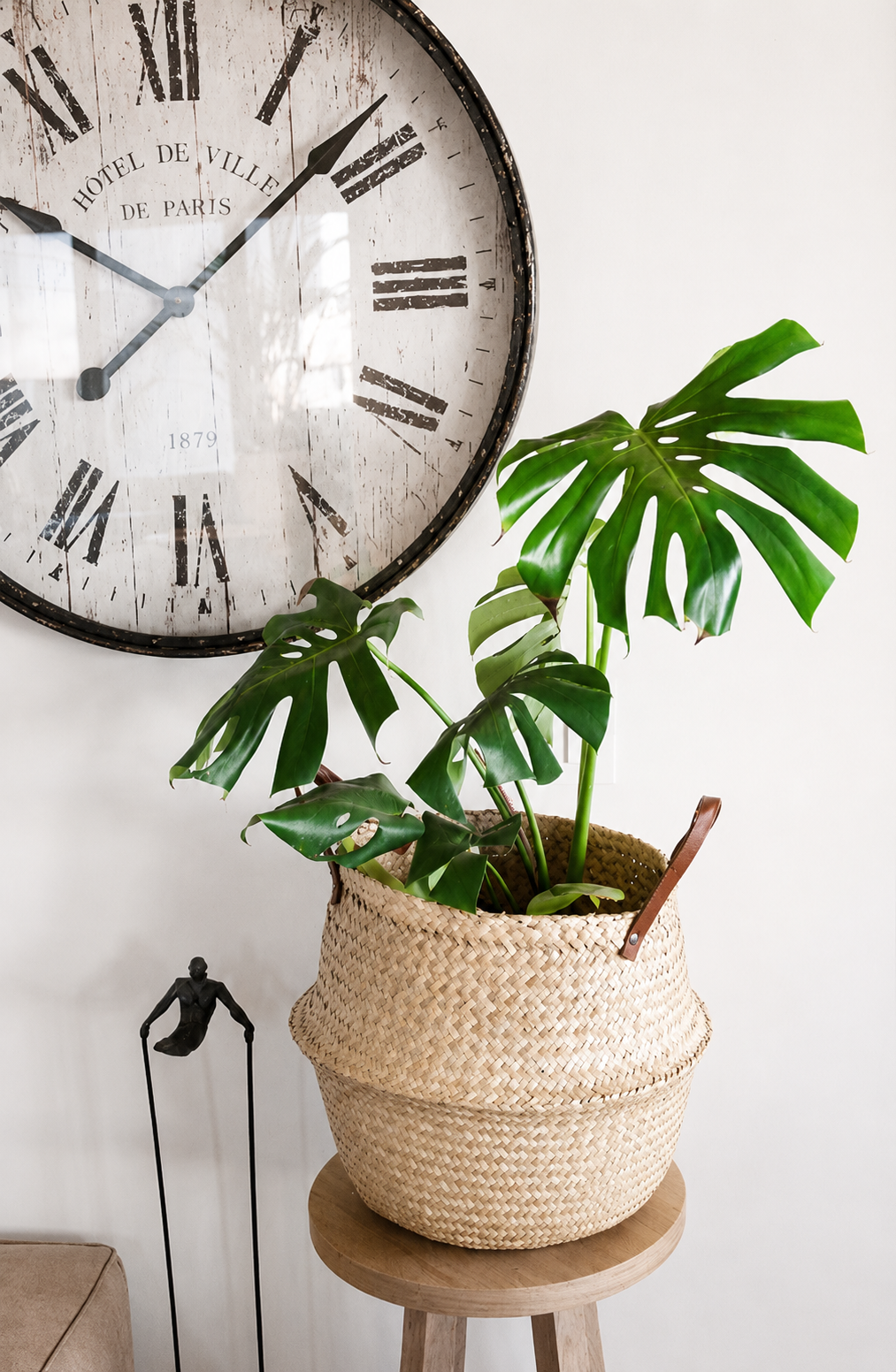 Mariana XL (Monstera Deliciosa)