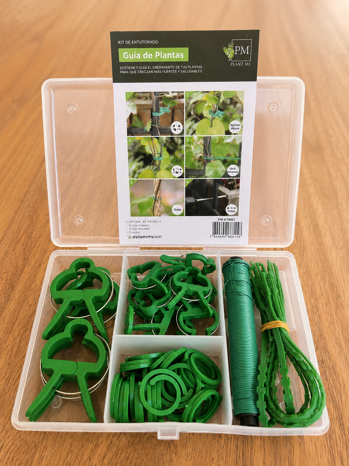 Caja de Accesorios
