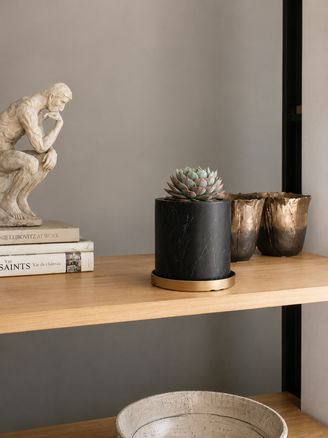 Echeveria Elegans