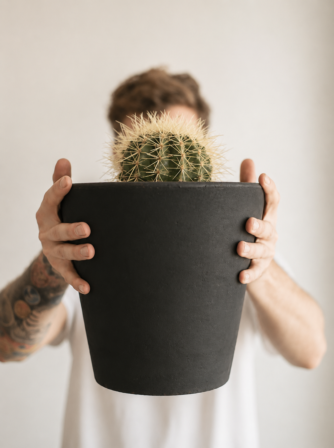 Asiento de Suegra (Echinocactus Grusonii)