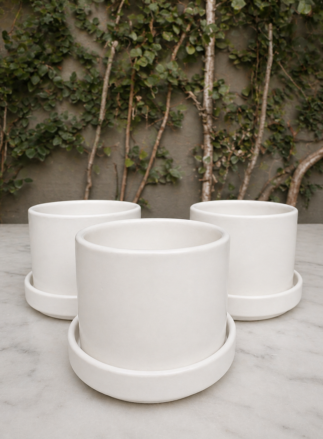 Pack de Zurich Blancos (Macetero de Ceramica)
