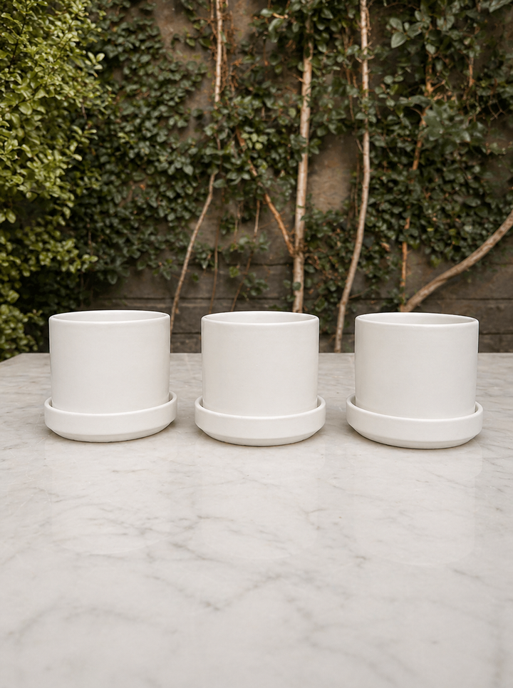 Pack de Zurich Blancos (Macetero de Ceramica)