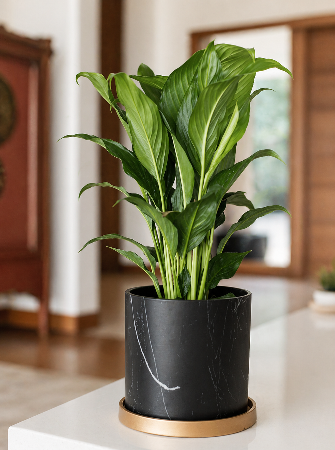 Nórdico Negro M (Macetero de Ceramica)