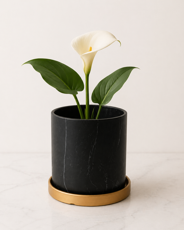 Nórdico Negro S (Macetero de Ceramica)