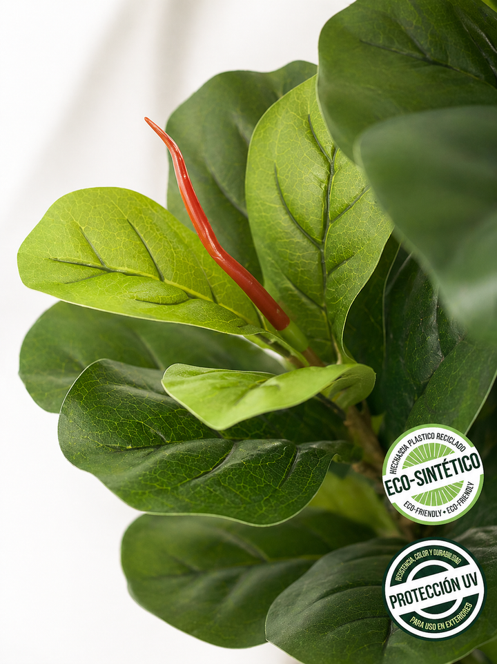 Ficus Lyrata 1.20 mts (Eco Sintetica)