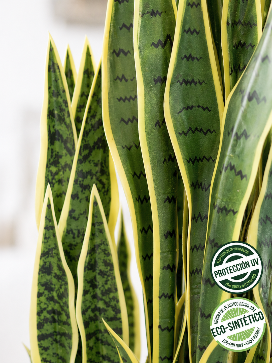 Sansevieria Variegada 46 cm (Eco Sintetica)