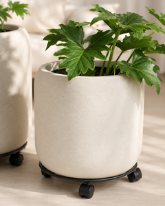 Plant Mover 40 cms