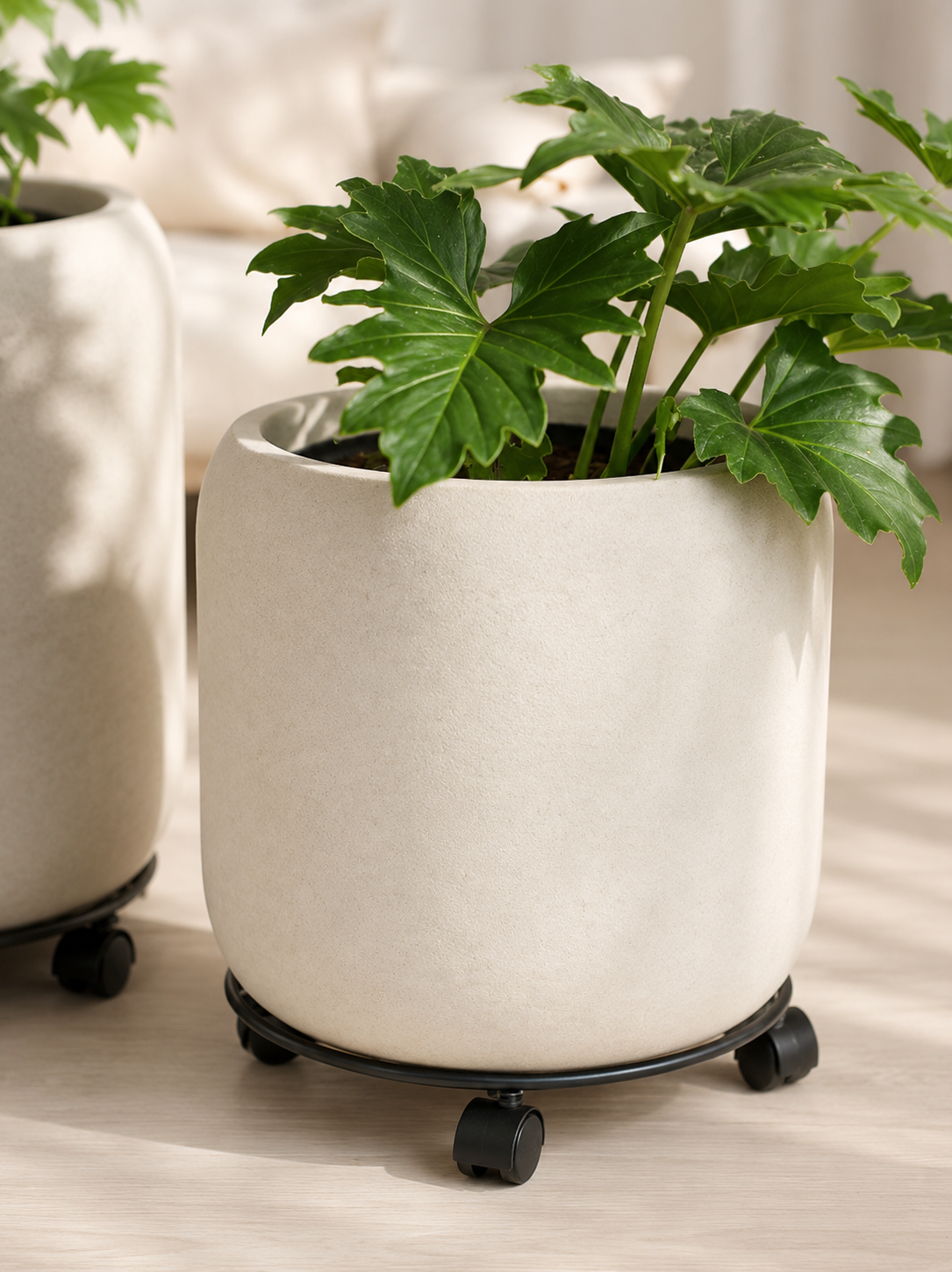 Plant Mover 40 cms