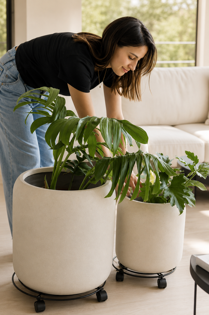 Plant Mover 40 cms