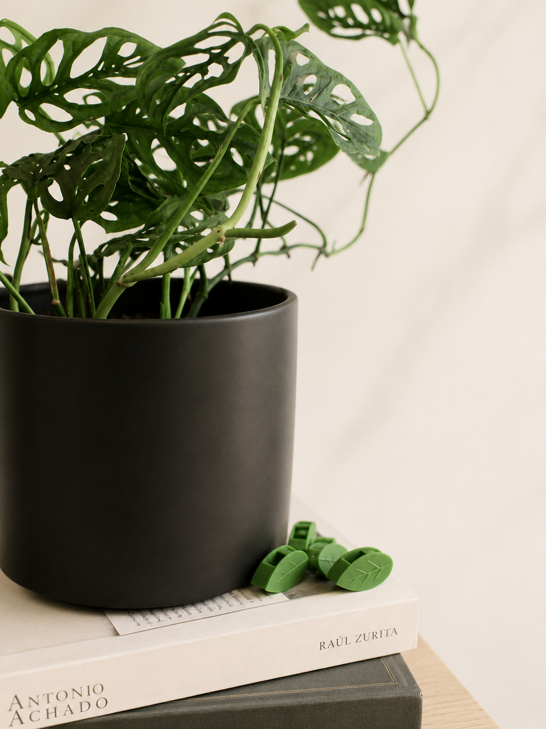 Plant Clip (Accesorio para plantas colgantes)