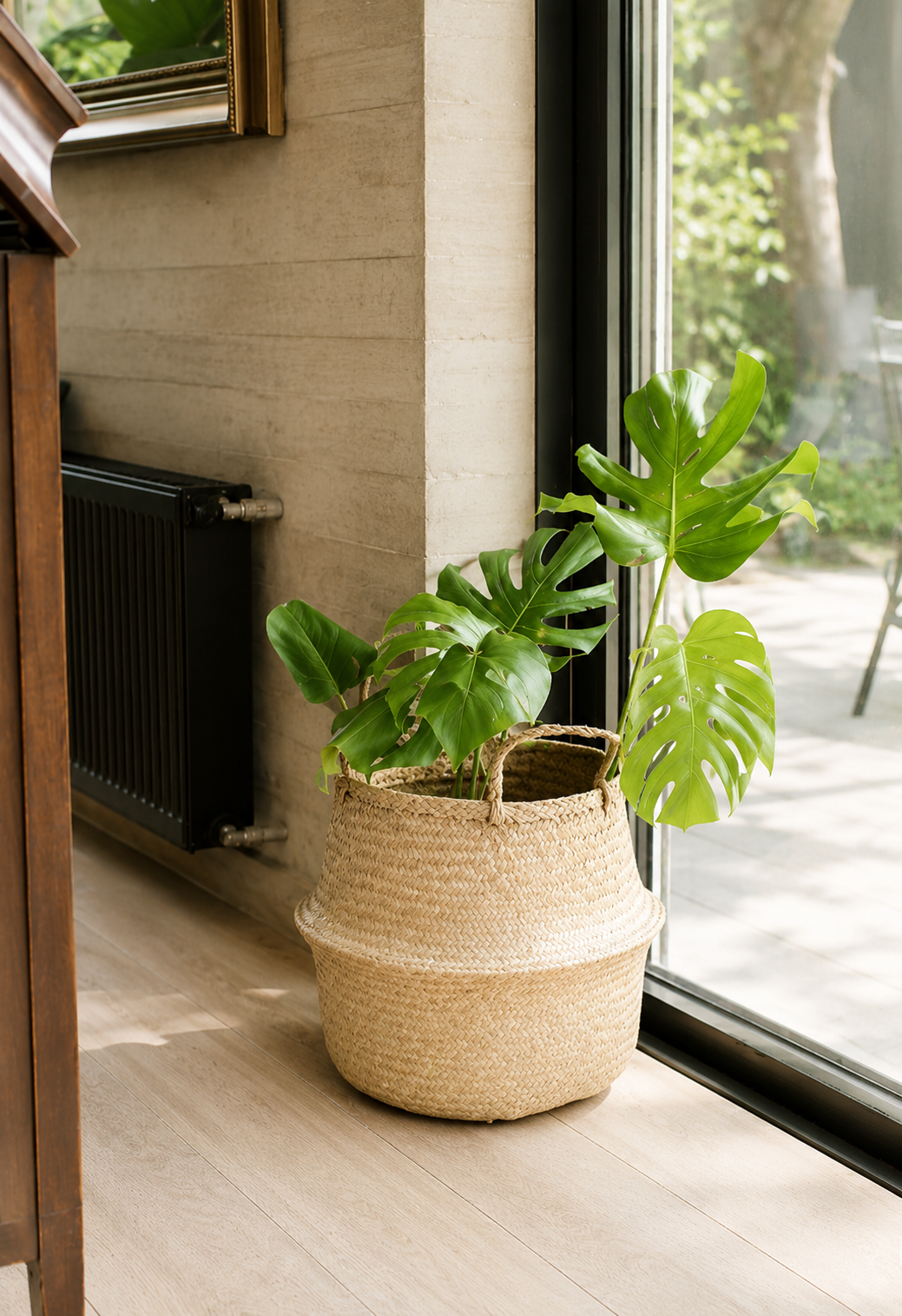 Mariana XL (Monstera Deliciosa)