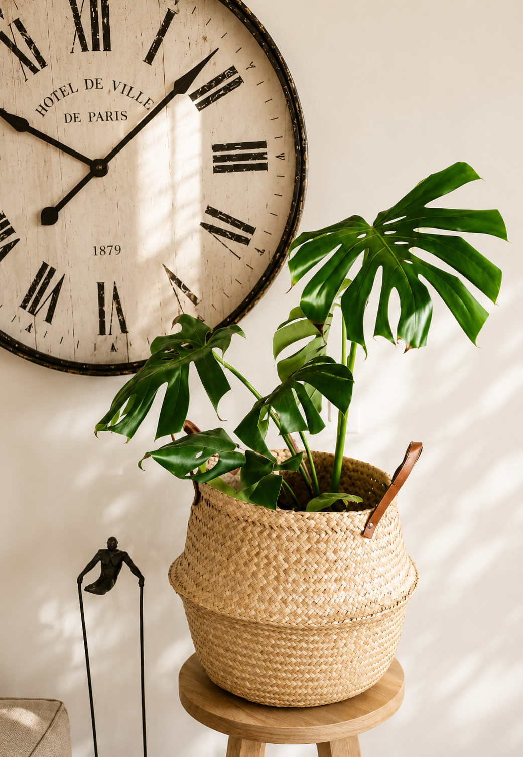 Mariana XL (Monstera Deliciosa)