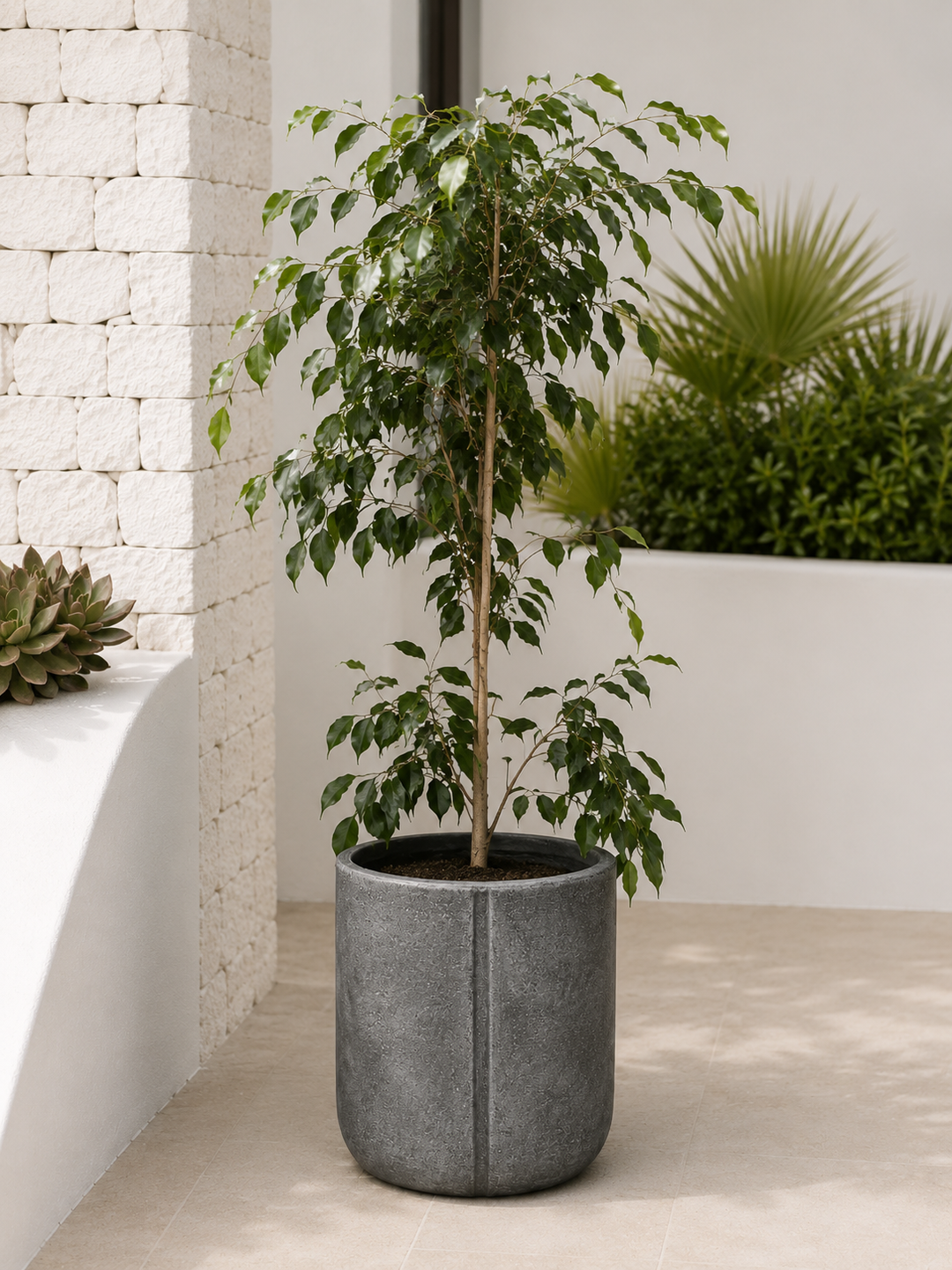 Ko Samui XXXL 53x53 (Macetero Fibra de Arcilla)