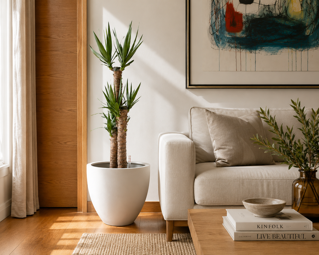 Yolanda Trio XL (Yucca)