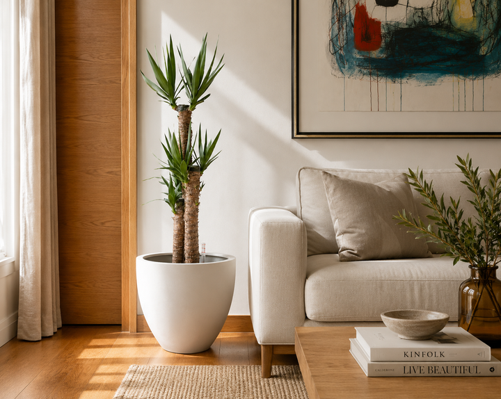 Yolanda Trio XL (Yucca)