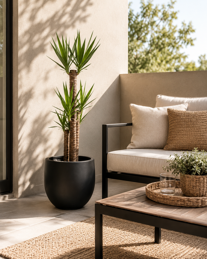 Yolanda Trio XL (Yucca)