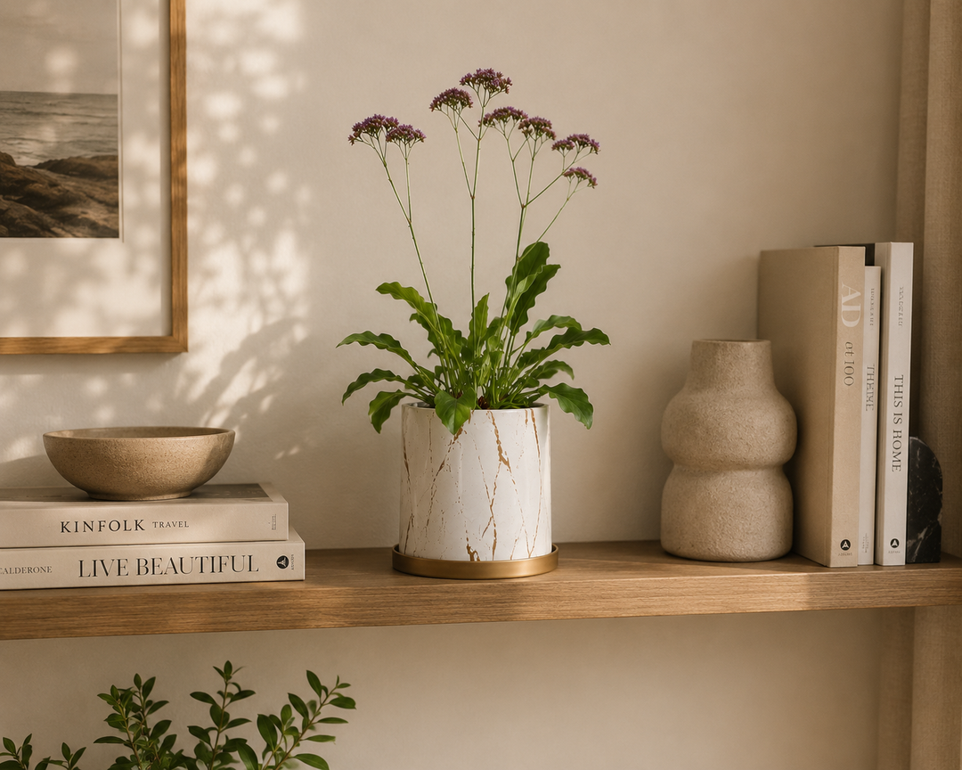 Limonium perezii