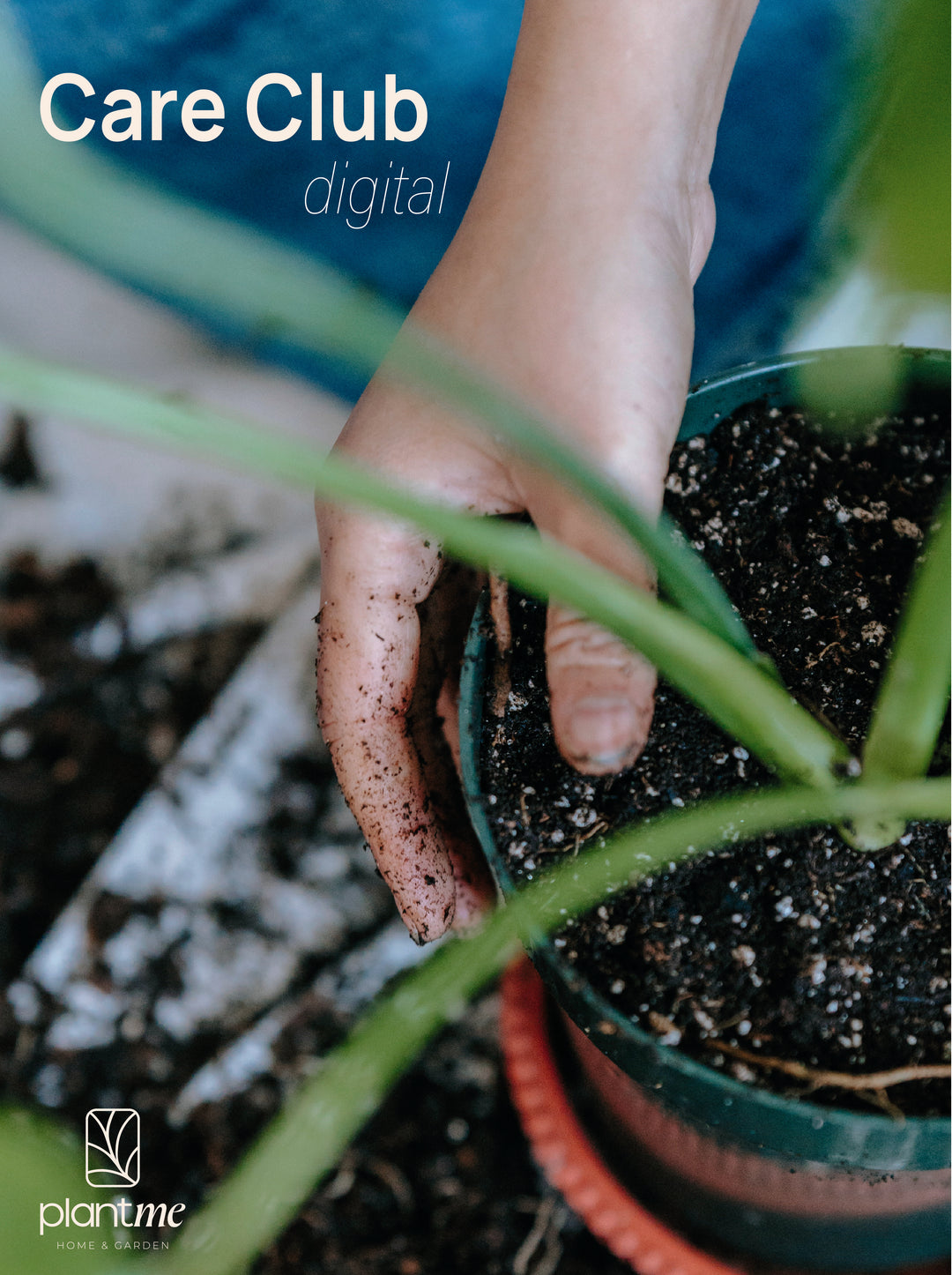 Plan Digital - PlantMe Care Club