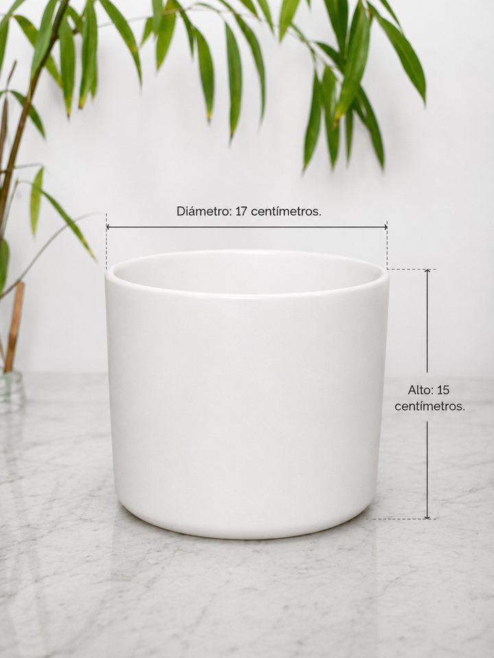Danés M Blanco (Porta Macetero de Ceramica)