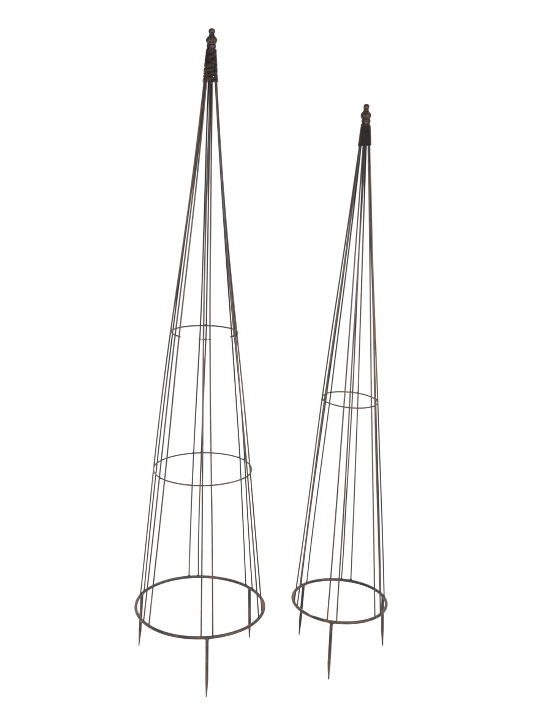 Set 2 Tutores Decorativos Oxford