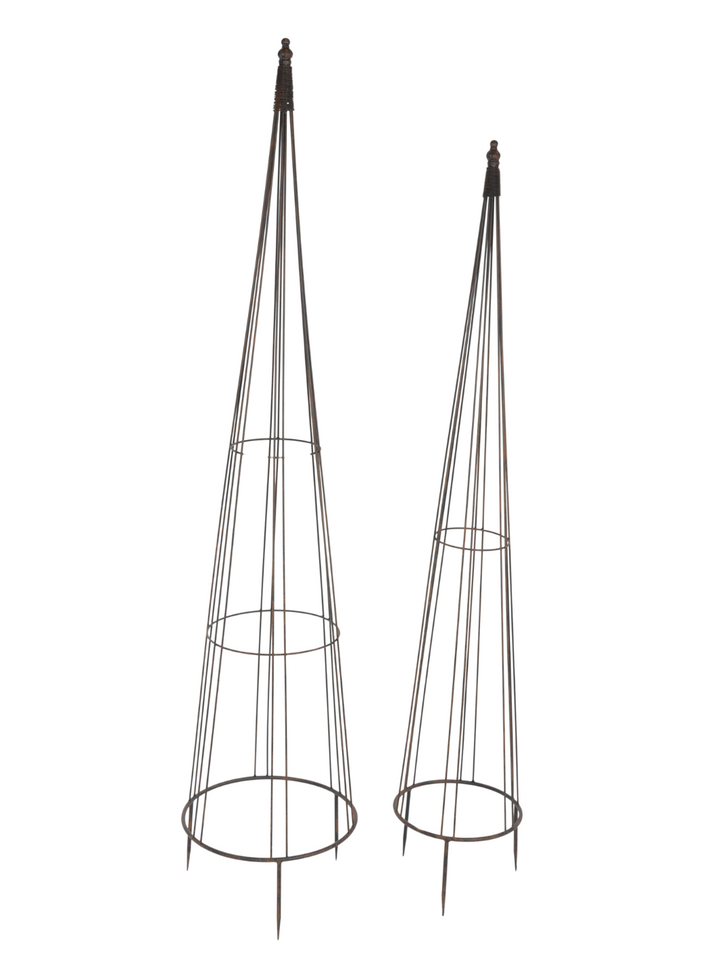 Set 2 Tutores Decorativos Oxford