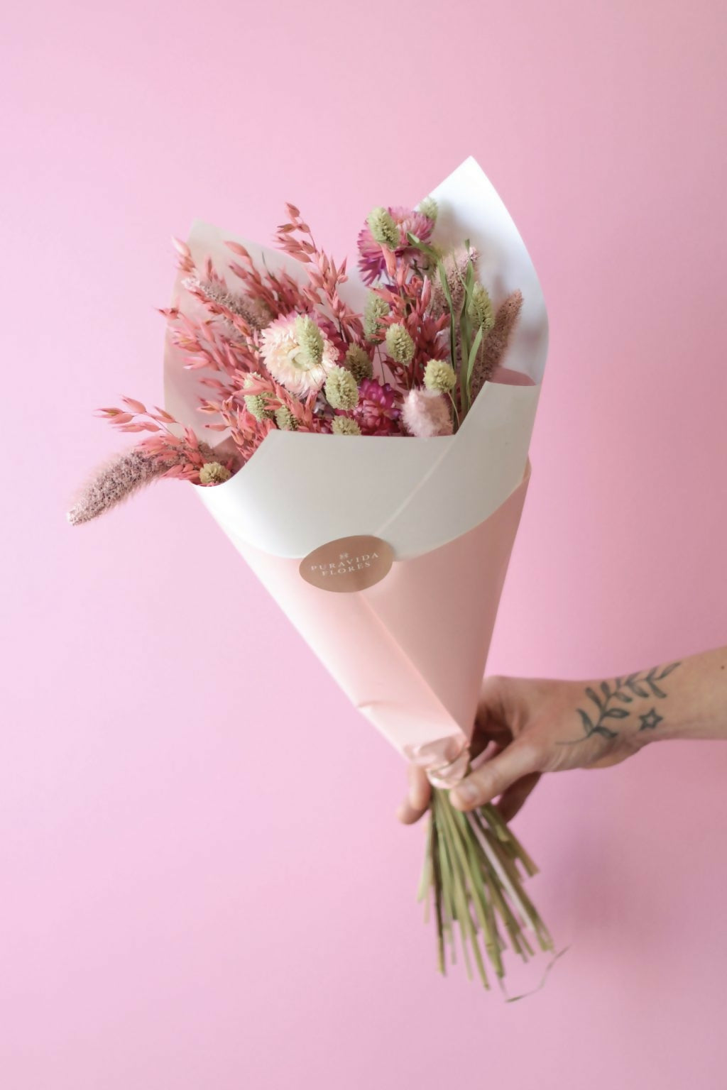 cono rose
