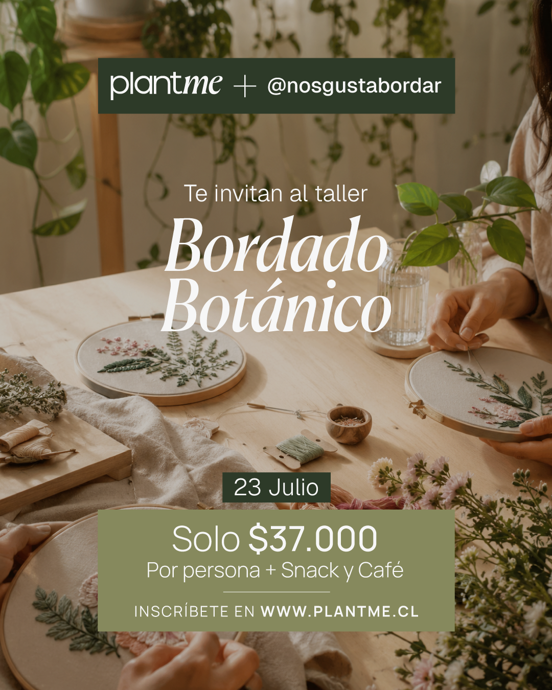 Taller Bordado Botánico